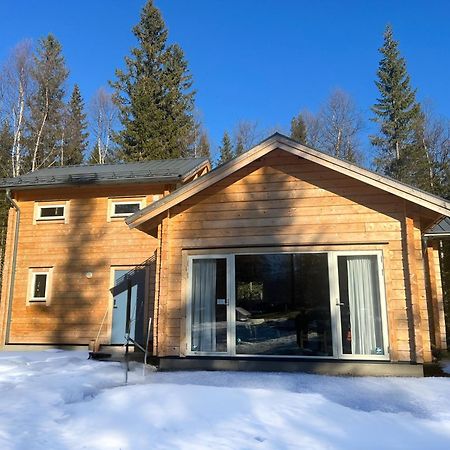 Mountain Holiday Homes - Ottsjoe, Trillevallen -Sweden 奥勒 外观 照片