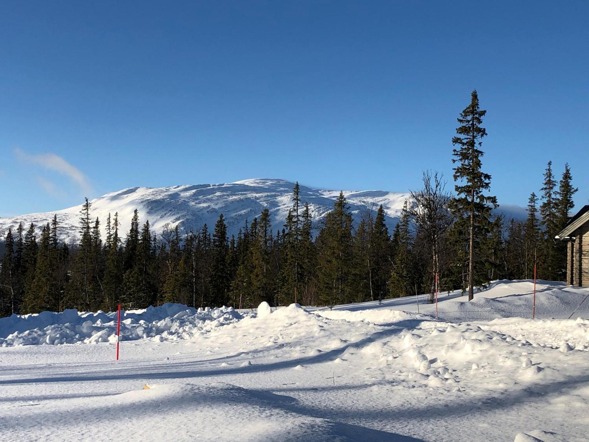 Mountain Holiday Homes - Ottsjoe, Trillevallen -Sweden 奥勒 外观 照片