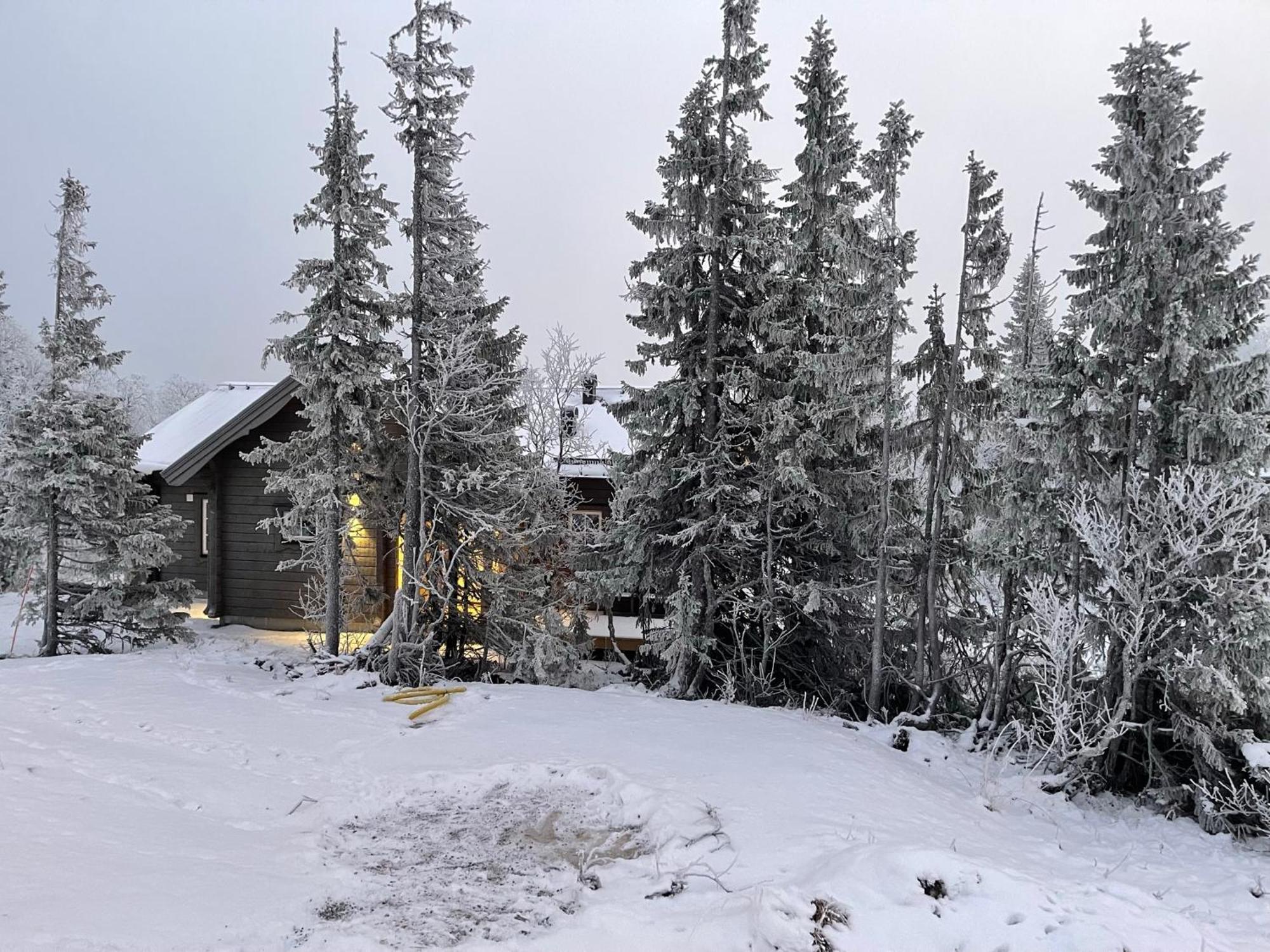 Mountain Holiday Homes - Ottsjoe, Trillevallen -Sweden 奥勒 客房 照片