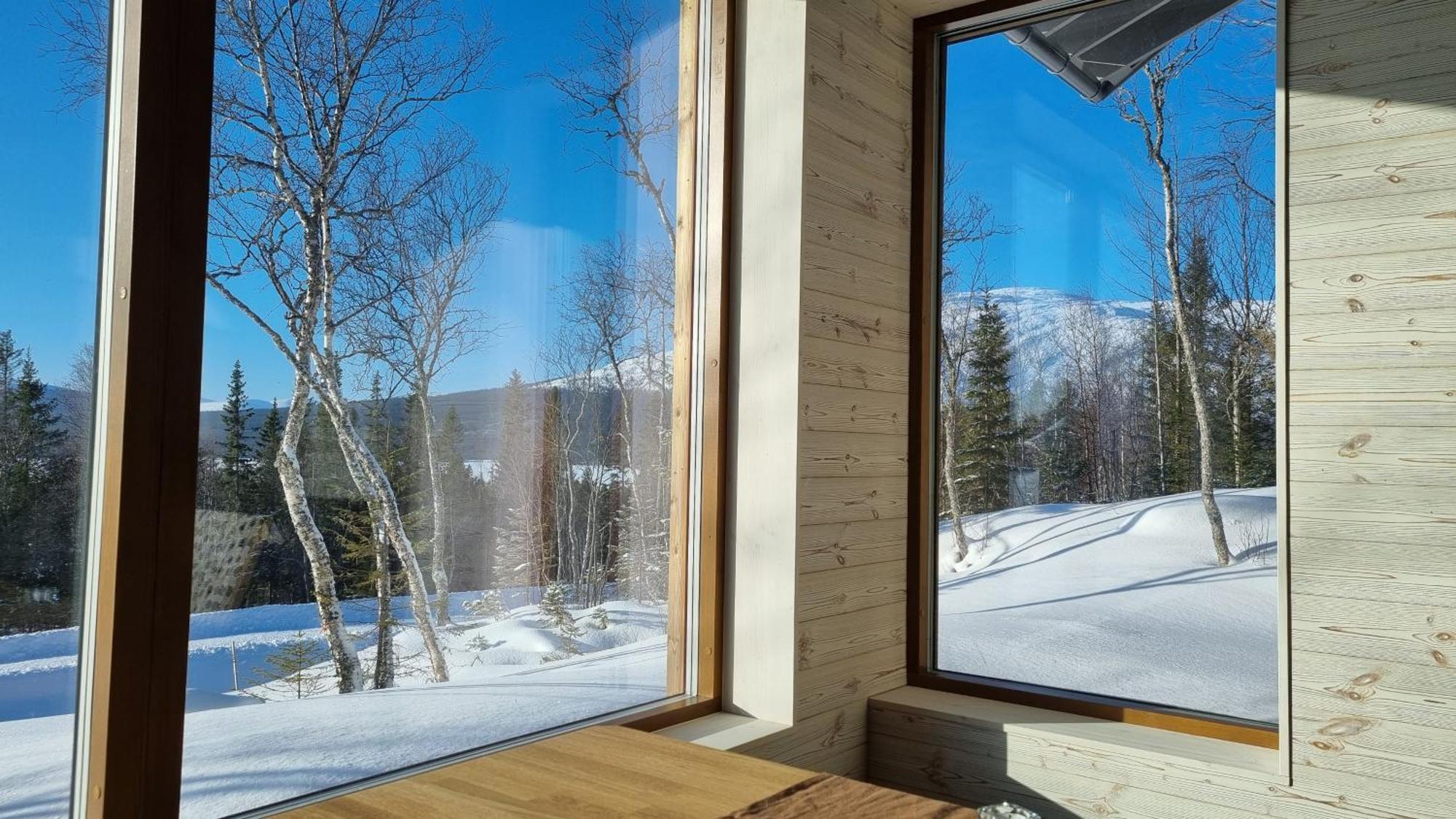 Mountain Holiday Homes - Ottsjoe, Trillevallen -Sweden 奥勒 客房 照片
