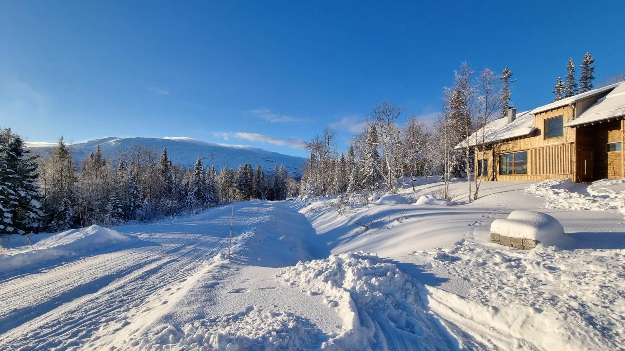 Mountain Holiday Homes - Ottsjoe, Trillevallen -Sweden 奥勒 客房 照片