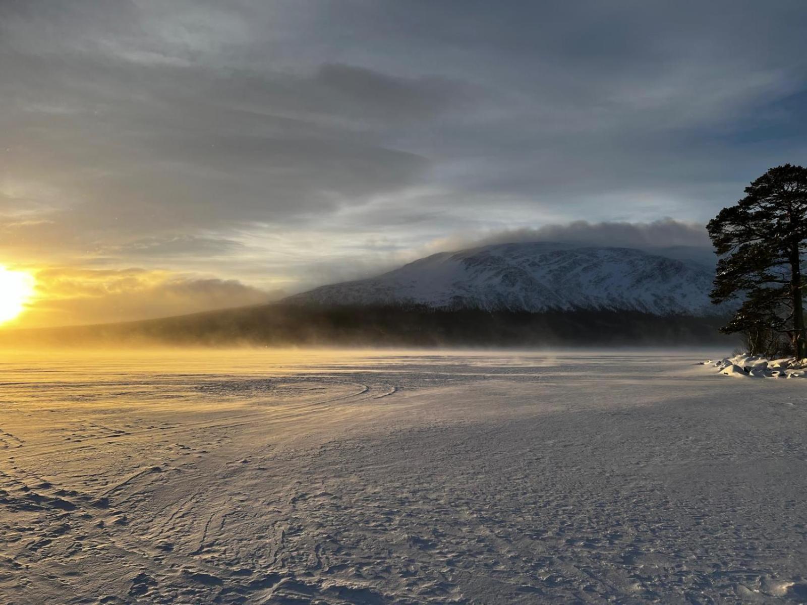 Mountain Holiday Homes - Ottsjoe, Trillevallen -Sweden 奥勒 客房 照片