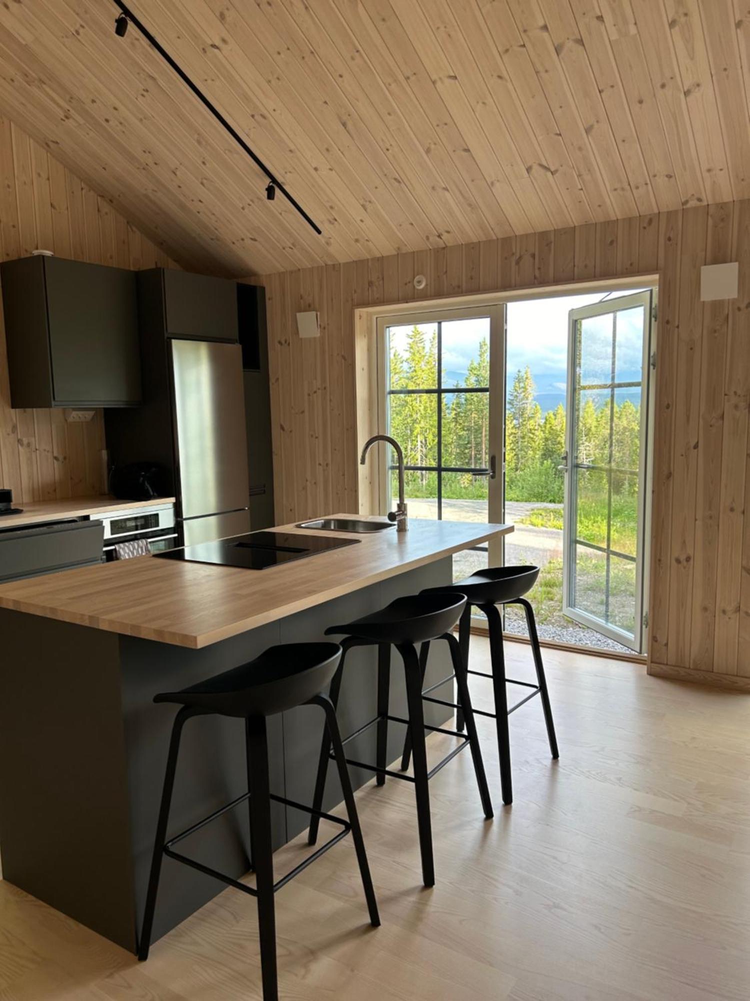 Mountain Holiday Homes - Ottsjoe, Trillevallen -Sweden 奥勒 外观 照片